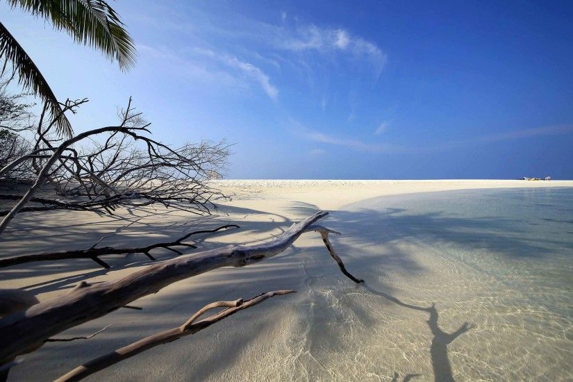 Beaches Island Beach Embudu Ocean Maldives Nature Background Iphone 6