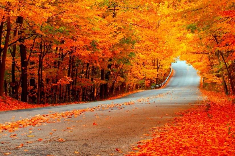 beautiful fall backgrounds 2560x1440 4k