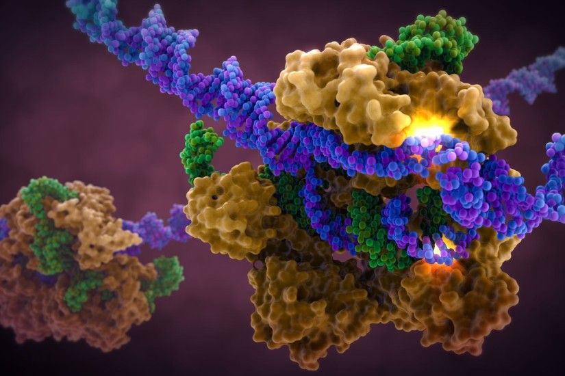 CRISPR Cas9 Gene Editing: Scientific Illustration