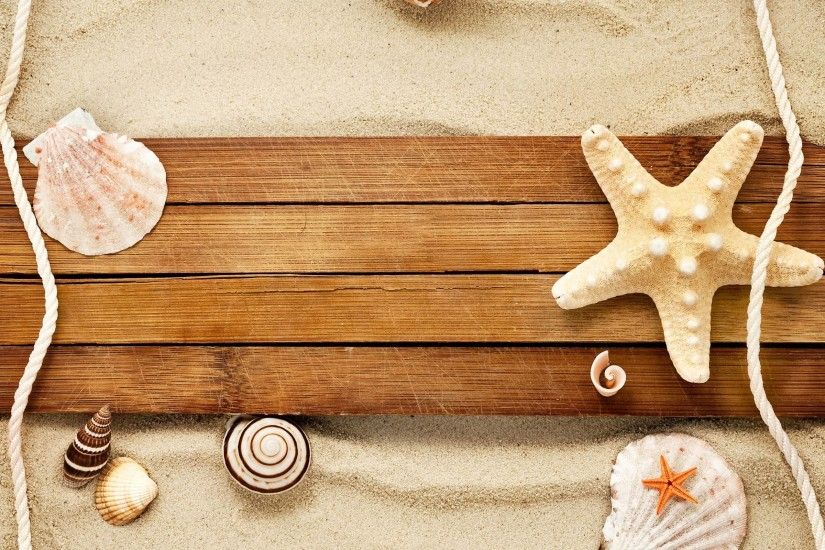Sand Shells Snail Starfish Beach HD Wallpaper - FreeWallsUp