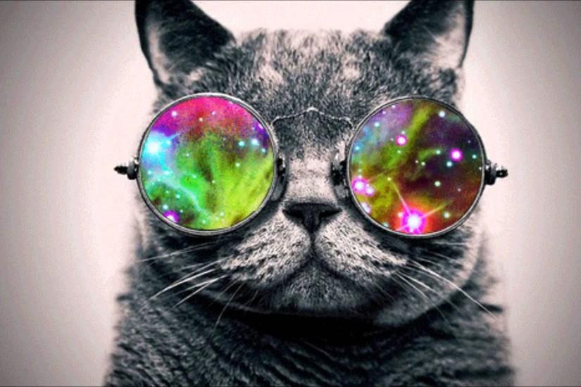 Cat with Glasses Wallpaper