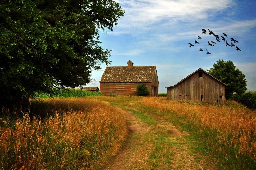 Road houses trees sky birds landscape mood farm rustic wallpaper |  2560x1600 | 153397 | WallpaperUP