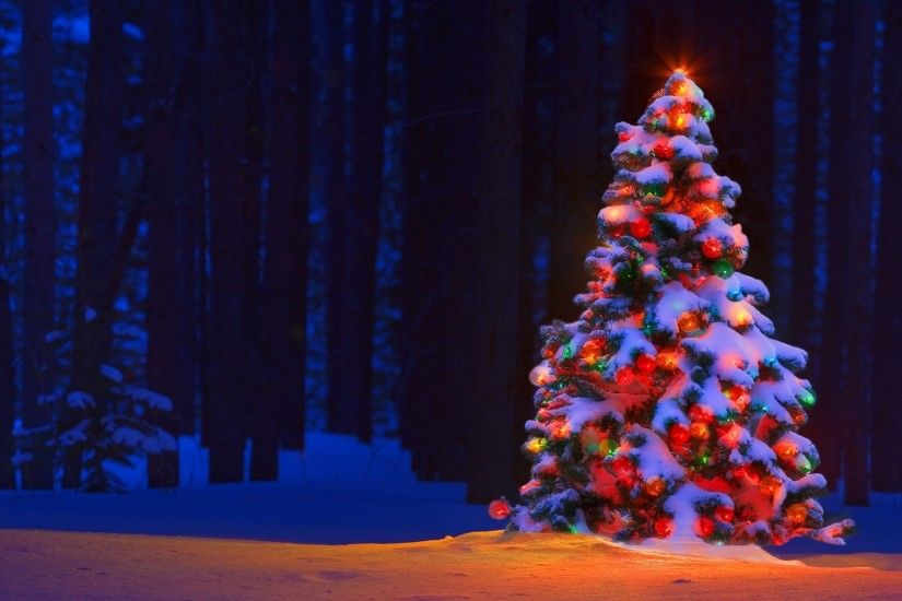 Christmas Lights Tree Desktop Backgrounds
