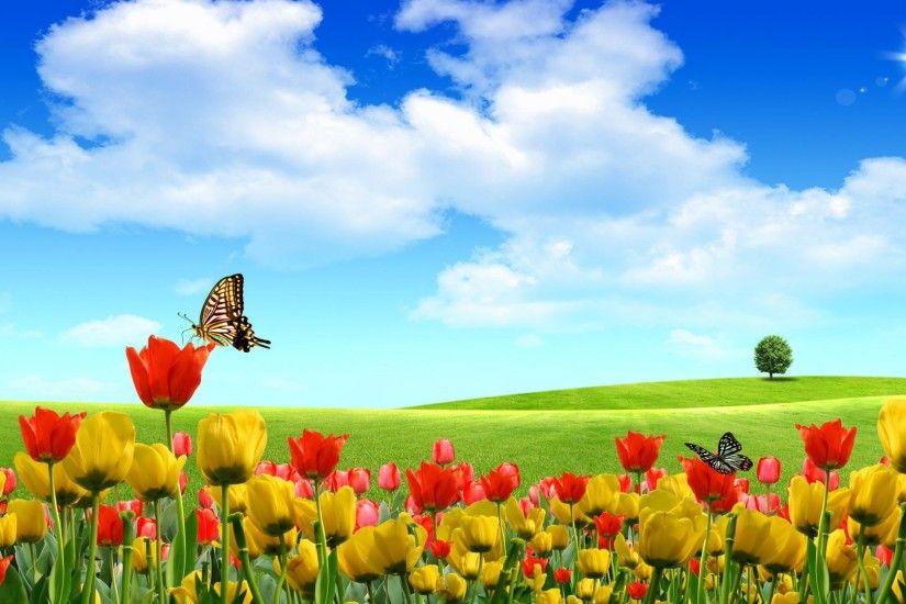 Free Scenery Wallpaper – Includes Beautiful Buds, Boasting of Its Natural  Scene!