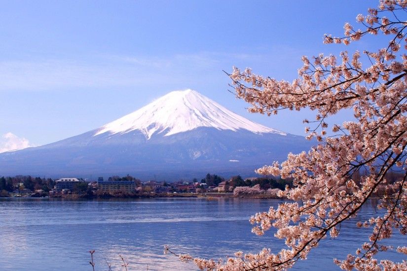 Mount Fuji Sakura Wallpaper
