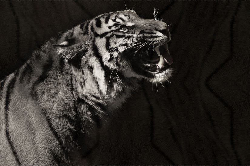 predator,tiger, mac, monochrome, windows, hd cat wallpapers,amazing, black, white  animal,_1920x1080 Wallpaper HD