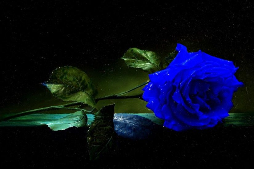 Earth - Rose Artistic Blue Flower Flower Wallpaper