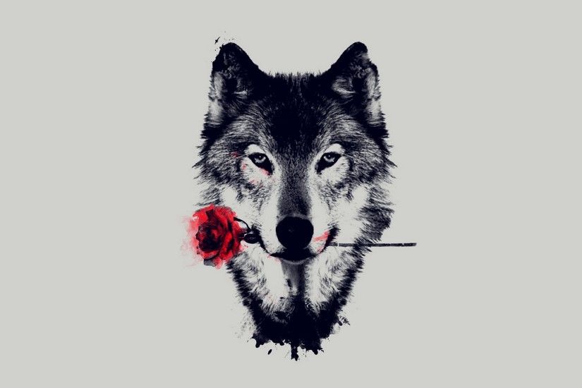 Free HD Wolf Wallpapers Wallpaper | HD Wallpapers | Pinterest | Wolf  wallpaper, Wallpaper free download and Wolf