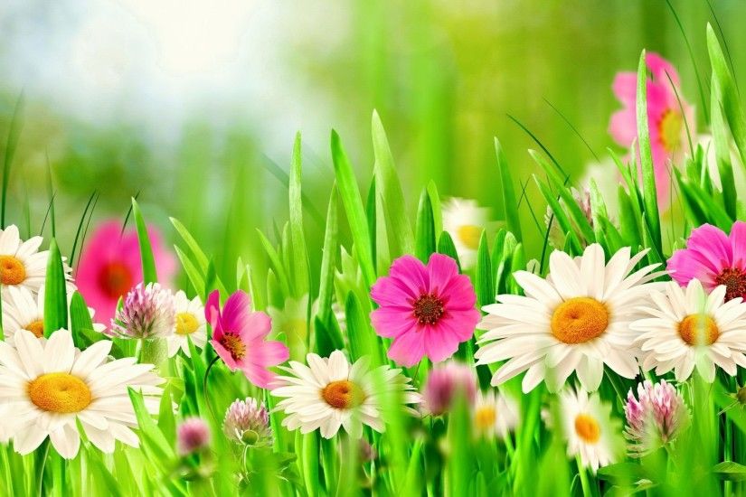 Artistic - Spring Artistic Flower Pink Flower White Flower Grass Wallpaper