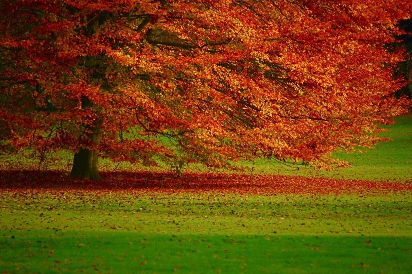 Wallpapers Backgrounds - Autumn Landscape Mac Desktop Background Fall