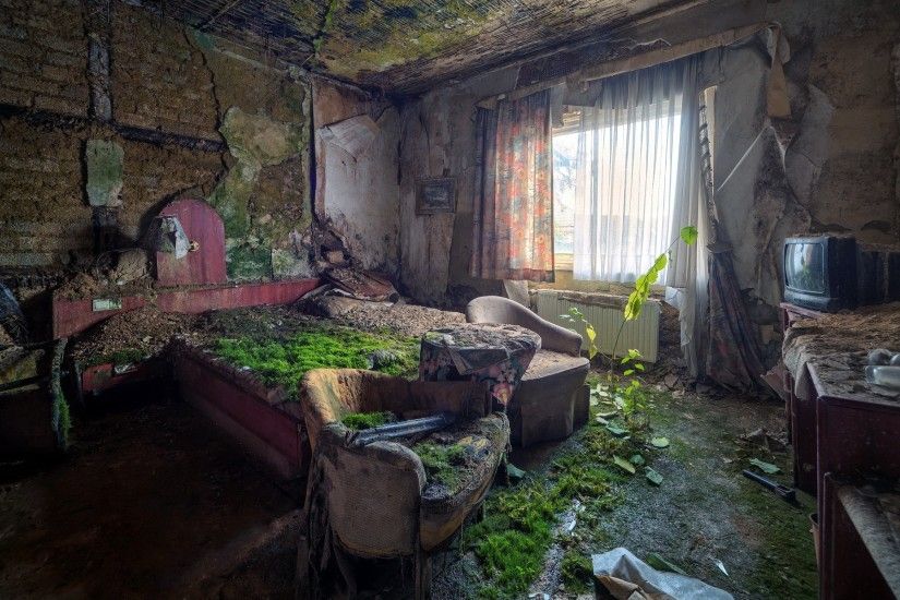 Abandoned Moss