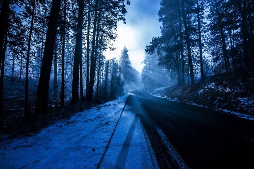 tree forest road shoulder snow winter sun rays nature blue