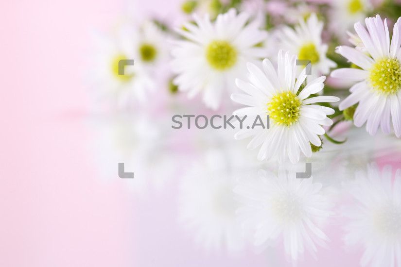 Image of Beautiful flowers background