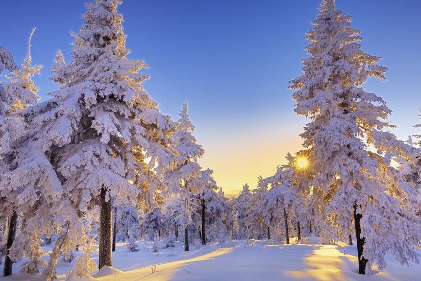Gorgeous Winter Snow Wallpaper 44338