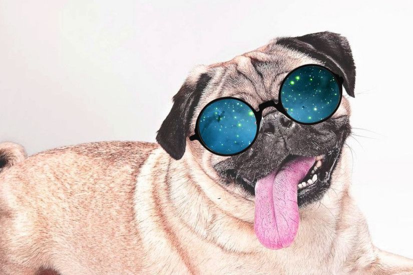 hd pics photos stunning attractive new funny pet animals dog pug with  sunglass galaxy nebulla hd