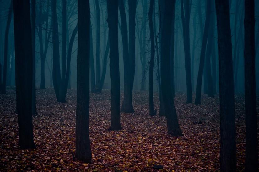 vertical dark forest background 1920x1200