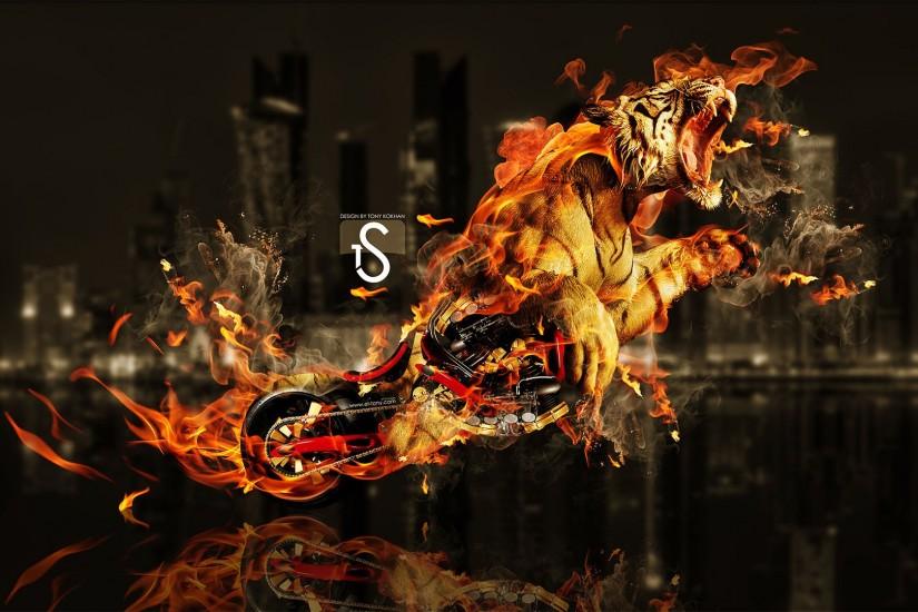 Tiger HD Background