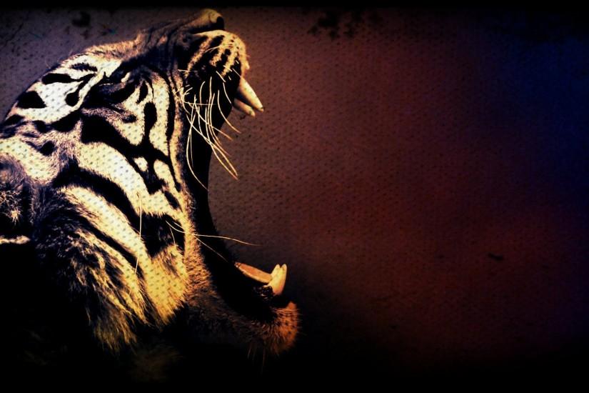 Tiger 3D Wallpapers For Laptops