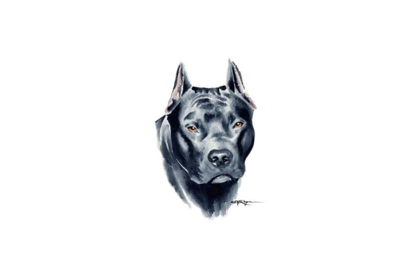 Painted pit bull terrier wallpaper