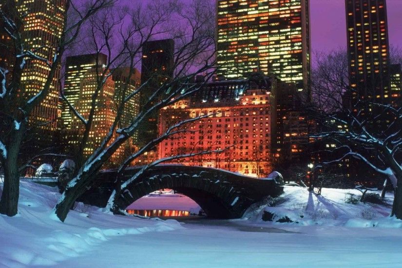 winter New York City Central Park wallpaper background