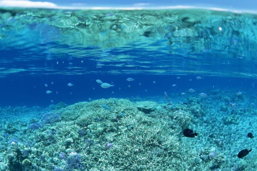 Clear water on a coral reef