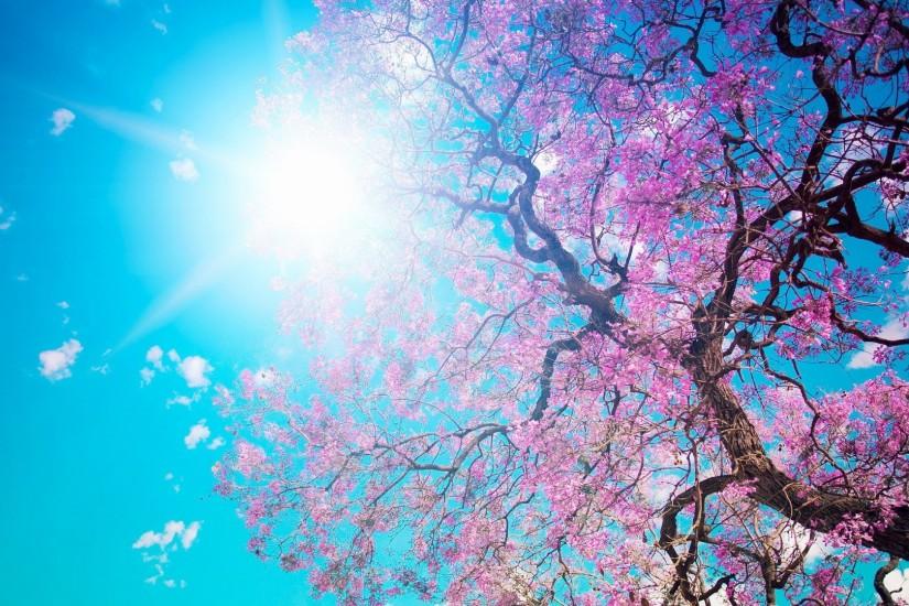 Spring Wallpapers | Best Wallpapers
