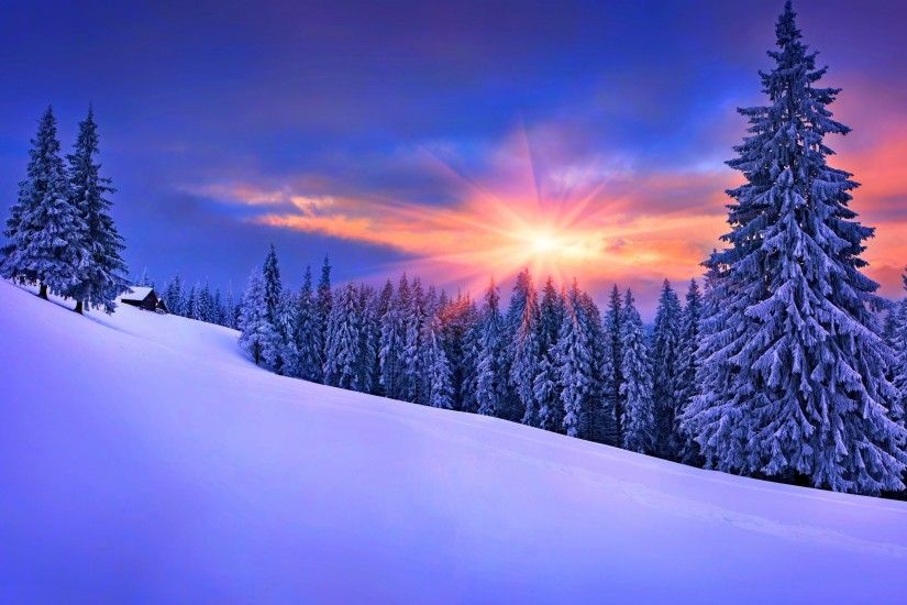 #winter, #landscape, #snow, #pine trees, #forest, wallpaper