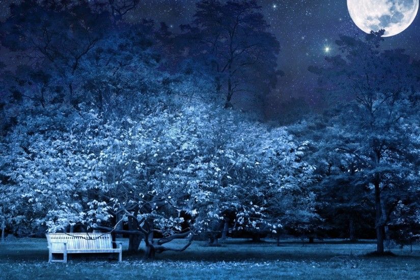 Download Wallpaper 1920x1080 night, bench, park, trees, stars, full moon,  sky, light, darkness Full HD 1080p HD Background