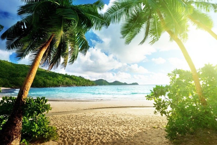 Beaches - Palm Sunshine Sky Landscape Tropical Trees Clouds Bright Island  Sea Beach 3d Wallpaper Desktop