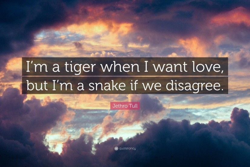 Jethro Tull Quote: “I'm a tiger when I want love, but