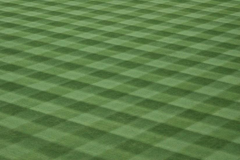 Baseball Field Grass Turf