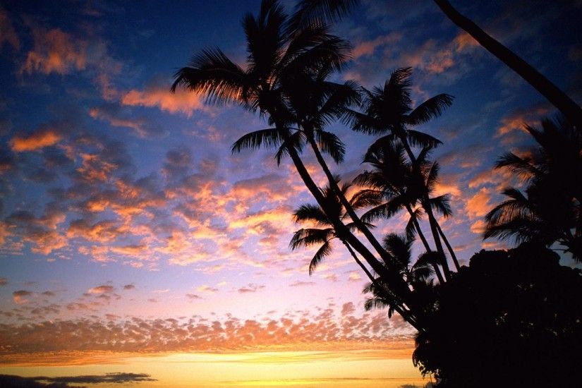 Images: Paradise Sunset Wallpaper