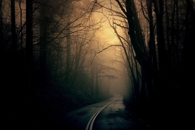 Theme BinÂ» Blog Archive Â» Dark Forest Road HD Wallpaper