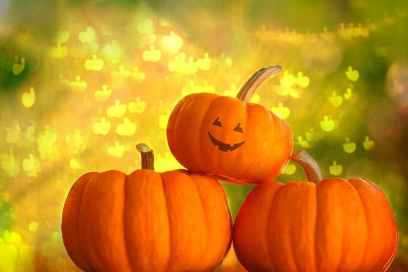Wallpapers For > Pumpkin Background Hd