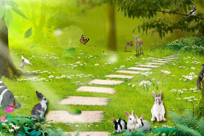 Pix For > Enchanted Forest Background