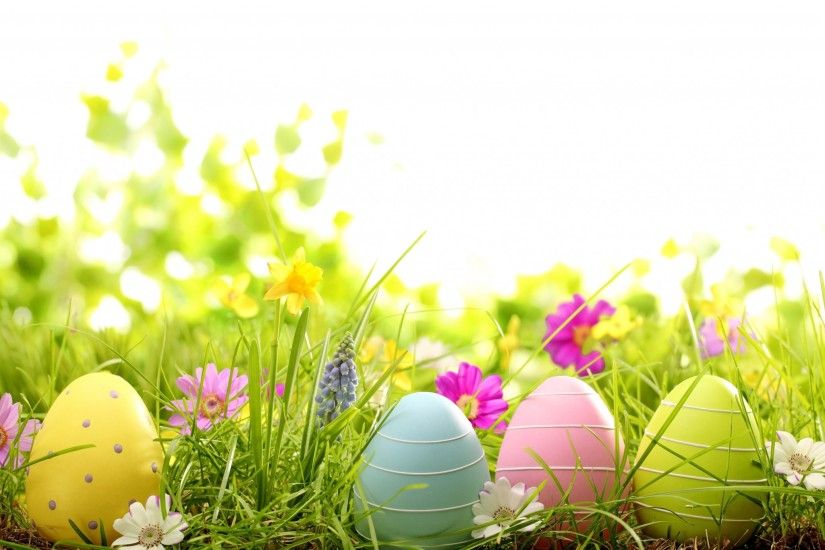 Easter eggs on meadow with spring flowers - Desktop Nexus Wallpapers