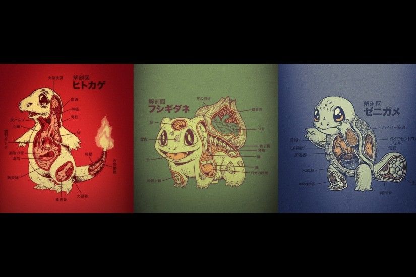 Charmander, Bulbasaur, Squirtle, Anatomy Wallpapers HD / Desktop and Mobile  Backgrounds