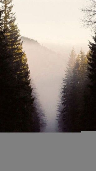 Misty Forest Road Pine Trees iPhone 8 wallpaper