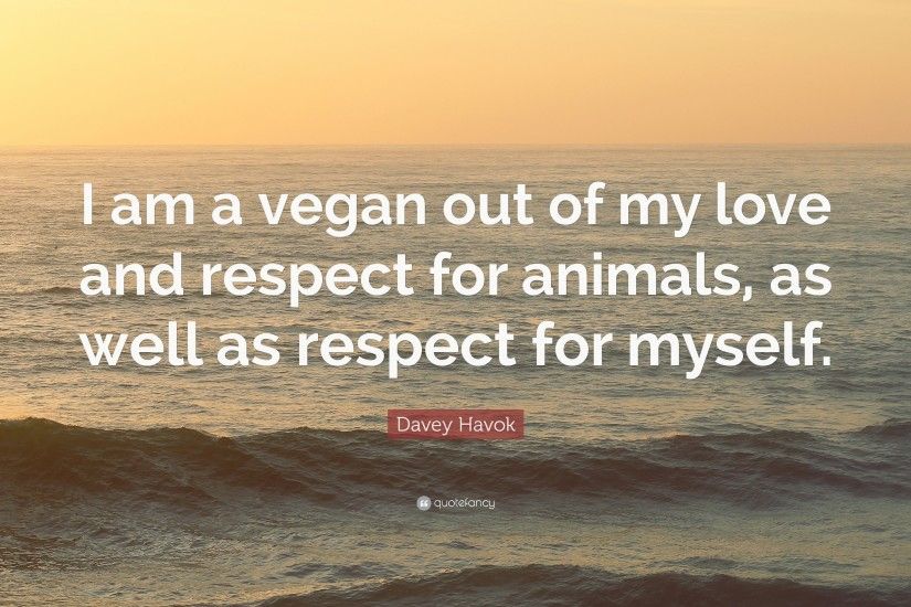 Davey Havok Quote: “I am a vegan out of my love and respect for