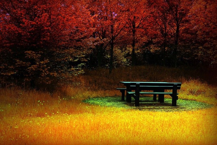 Autumn Wallpapers HD Desktop Backgrounds Images and Pictures