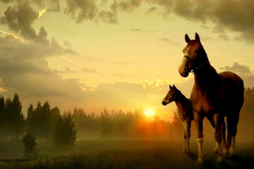 Springtime Foal Screensaver and Desktop Wallpaper True love - Horses &  Animals Background Wallpapers on Desktop .