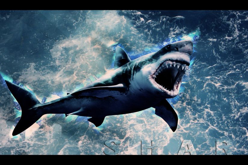 Shark Wallpaper HD by Tooyp Shark Wallpaper HD by Tooyp