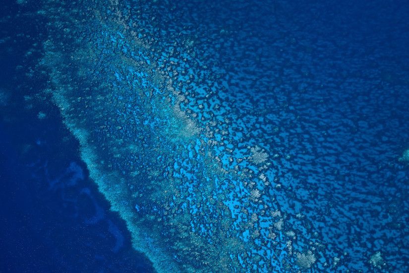 Aerial Coral Reef