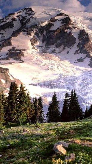 1080x1920 Mount Rainier National Park