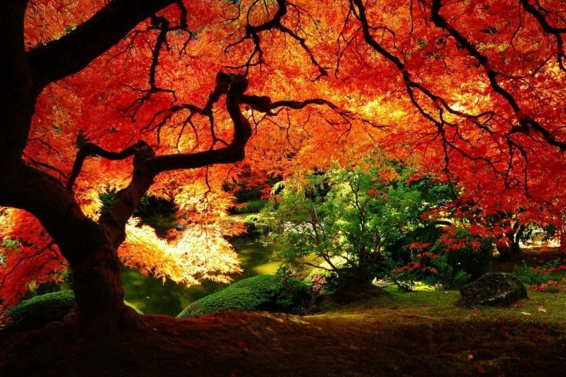 Title : fall scenery desktop wallpaper | autumn | pinterest | scenery and.  Dimension : 1920 x 1080. File Type : JPG/JPEG