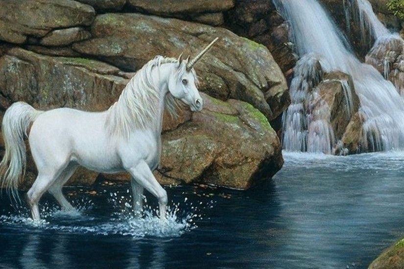 horse white image full HD wallpaper Wallpaper
