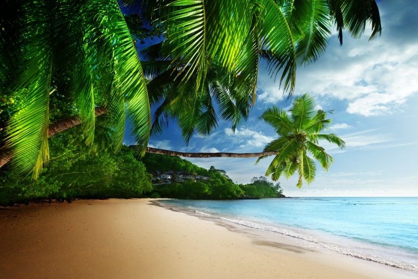 Beach Paradise Wallpaper ·① WallpaperTag