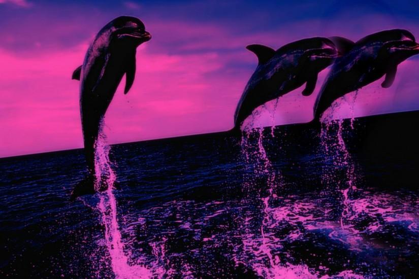 Dolphin Wallpaper Swim - WallpaperSafari