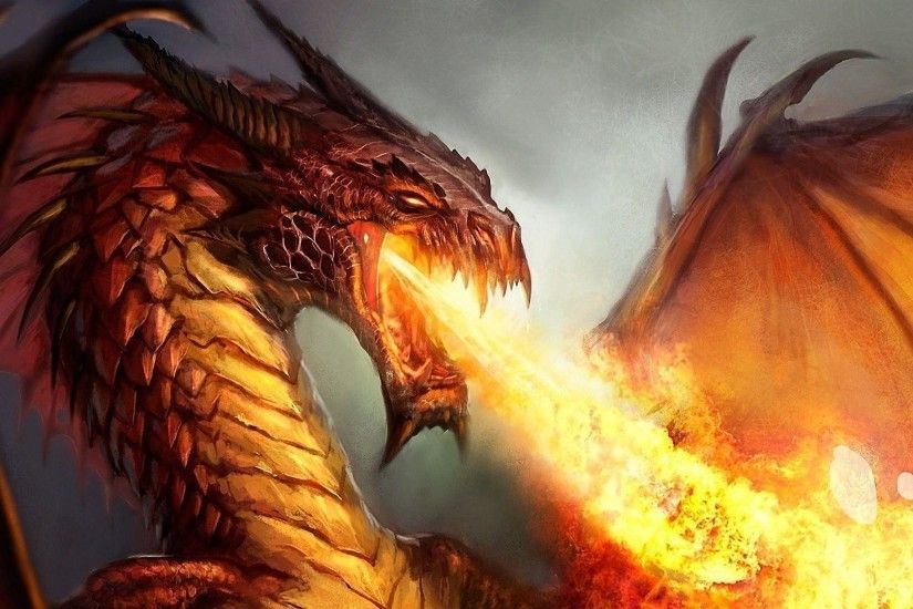 Wallpapers For > Fire Dragon Wallpapers 3d