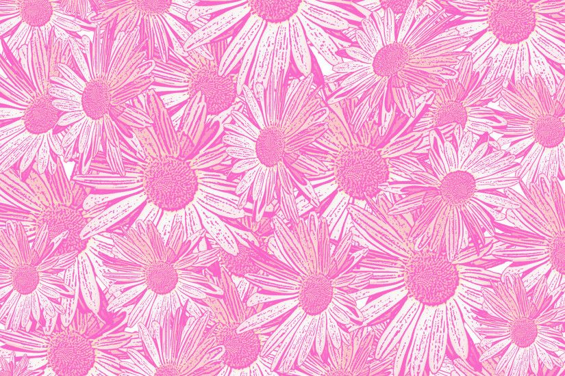 Pink Daisy Background